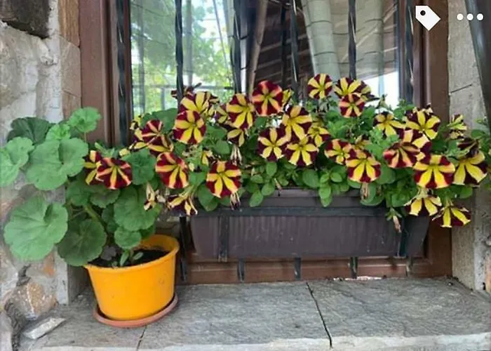 Buhlevata Vodenitsa Hotel Burgas